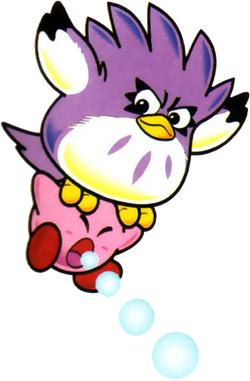 Coo | Kirby Wiki | Fandom