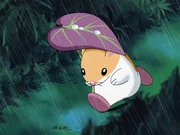 アニメ第30話より