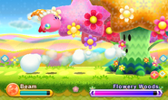 Kirby battles Flowery Woods.