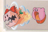 Kirby & The Amazing Mirror