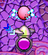 KCC Fan.png
