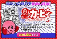 Kirby kawakami2
