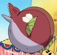 Susshi's defeat.png (397 KB) Susshi without his tail