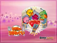 Kirby & The Amazing Mirror