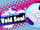 Void Soul