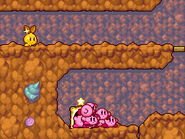 The Kirbys find Gold Beanbon. (Stage 4)