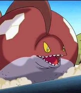 Sushihead.jpg (8 KB) Close up view of Susshi