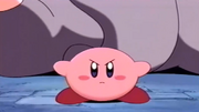 KirbyProtectPhanPhan