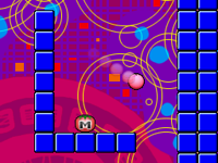 The letter L with a Maxim Tomato