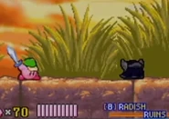 ラディッシュルインズ登場時(鏡の大迷宮)