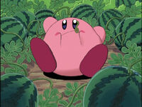 Kirby Melone