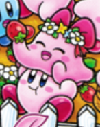 "Kirby of the Stars: Find!!"