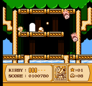 En Kirby's Adventure.