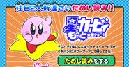 Kirby kawakami2b