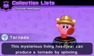 Kirby Battle Royale (Headgear)