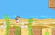 Kirby and Coo in the arid sands