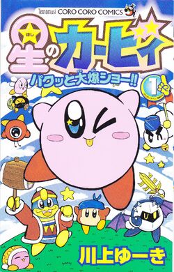 星のカービィ パクッと大爆ショー カービィwiki Fandom 星のカービィ パクッと大爆ショー カービィwiki Fandom