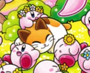 "Kirby of the Stars: Find!!"