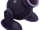 Shotzo