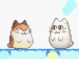 Shiiro