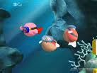 Tauch-Kirby
