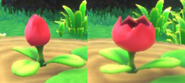 Tulip Pop Flower found in Kirby and the Forgotten Land