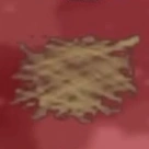 けんけんレース(星のカービィ64)