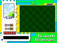 What the player sees on the top screen while playing.