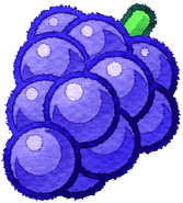 Kirby Mass Attack (grape, unused)