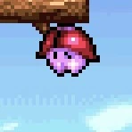 天井に止まったバッティー