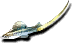 Swordtail (Sen).png