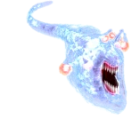 Wisp