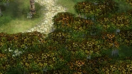 Bose - West Bose Highway 2 (Sky1).png (1.86 MB)