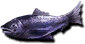 Trout (Sen).png