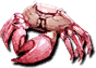 Queen Crab (Sen).png