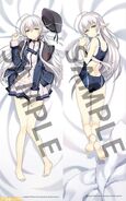 First Official Dakimakura