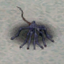 Shadow Spider CA14350 (Sora 3rd Monster)