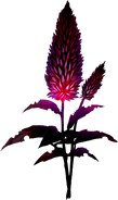 Purple Pleroma (Sen III)