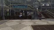 Boutique Camellia