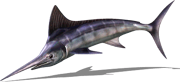 Blue Marlin (Sky SC)