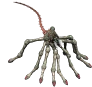 Knuckle Spider