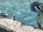 Fishing Spot - Mishelam - Wharf (Zero).png