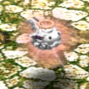 Shining Pom CA11240 (Sora FC Monster)