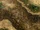 Bose - Ravennue Trail 4 (Sky1).png