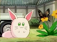 Lulupapa watching a butterfly in the beginning of the episode