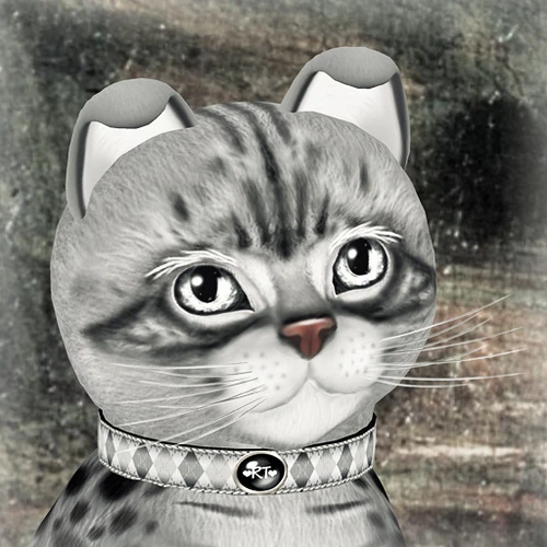 Ocicat - Ebony Silver (fur) | KittyCats! Breedables Wiki | Fandom