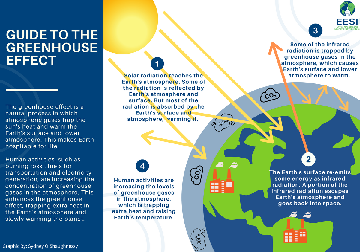 global-warming-kittyquest-wiki-fandom