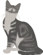 Whistlebreeze į oficialioje svetainėje