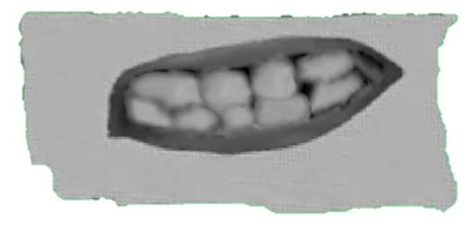 Sad Mouths Klasky Csupo Wiki Fandom Sad Mouths Klasky Csupo Wiki Fandom