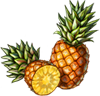 Pineapple Seeds